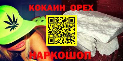 крисы Будённовск