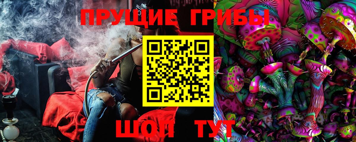 Псилоцибиновые грибы MAGIC MUSHROOMS Черемхово