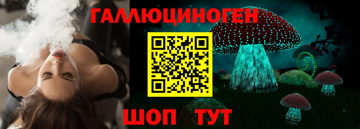 Псилоцибиновые грибы прущие грибы  Вход с VPN  Черемхово 